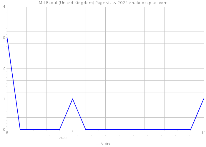 Md Badul (United Kingdom) Page visits 2024 