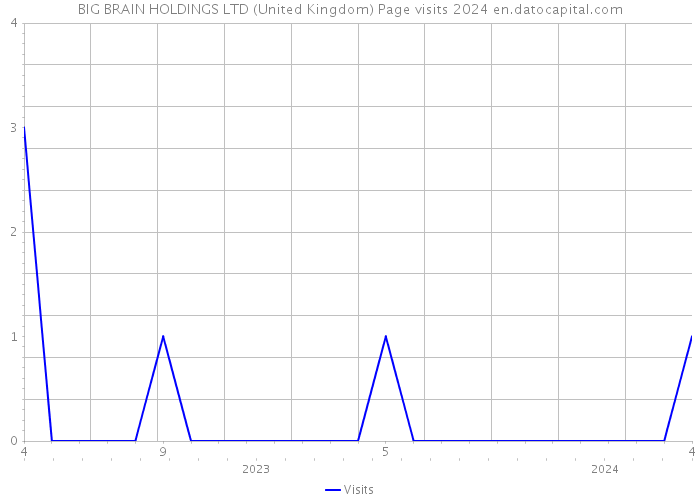 BIG BRAIN HOLDINGS LTD (United Kingdom) Page visits 2024 