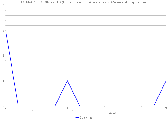 BIG BRAIN HOLDINGS LTD (United Kingdom) Searches 2024 