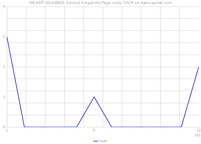NIKANT AILAWADI (United Kingdom) Page visits 2024 