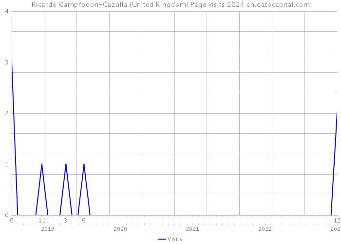 Ricardo Camprodon-Gazulla (United Kingdom) Page visits 2024 