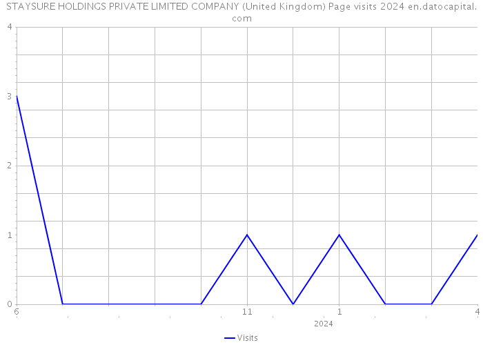 STAYSURE HOLDINGS PRIVATE LIMITED COMPANY (United Kingdom) Page visits 2024 