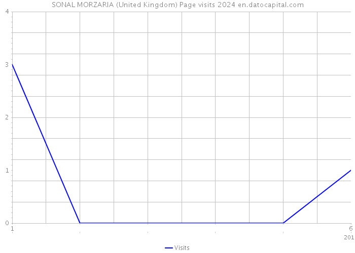 SONAL MORZARIA (United Kingdom) Page visits 2024 