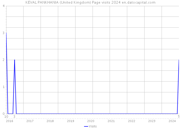 KEVAL PANKHANIA (United Kingdom) Page visits 2024 