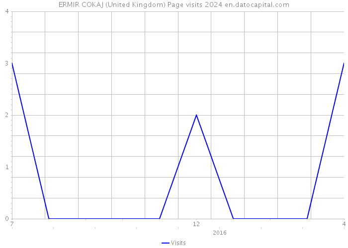 ERMIR COKAJ (United Kingdom) Page visits 2024 