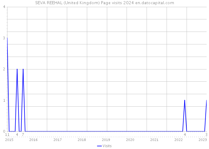 SEVA REEHAL (United Kingdom) Page visits 2024 