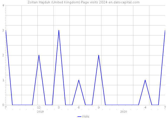 Zoltan Hajduk (United Kingdom) Page visits 2024 