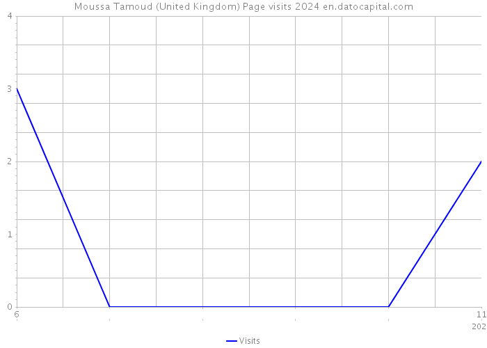 Moussa Tamoud (United Kingdom) Page visits 2024 