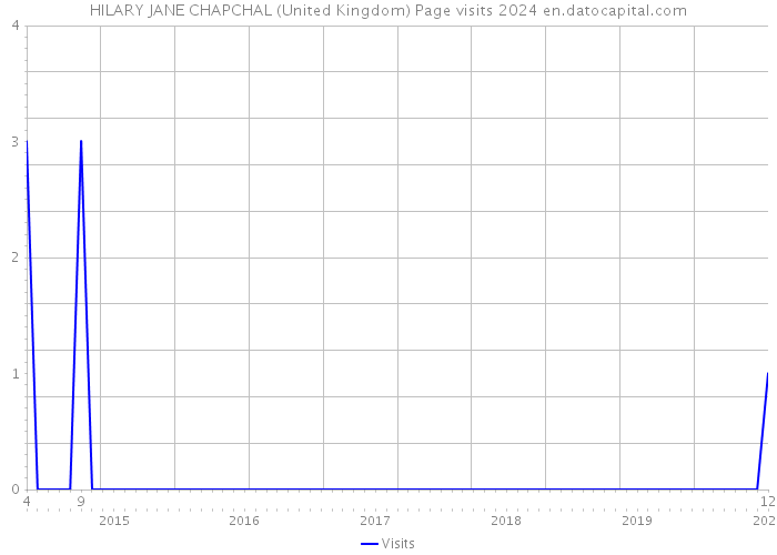 HILARY JANE CHAPCHAL (United Kingdom) Page visits 2024 