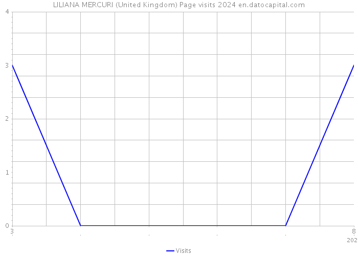 LILIANA MERCURI (United Kingdom) Page visits 2024 