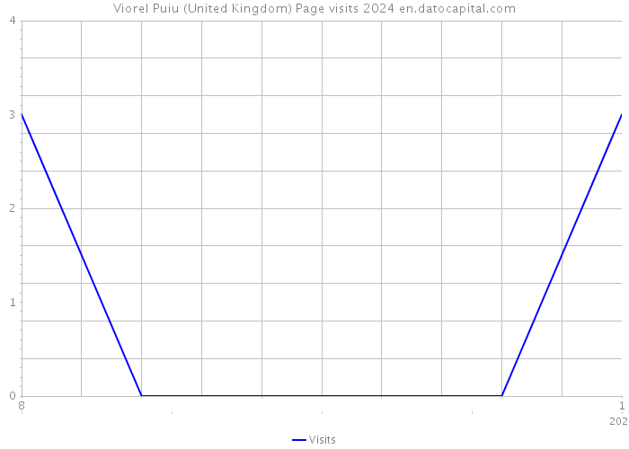 Viorel Puiu (United Kingdom) Page visits 2024 