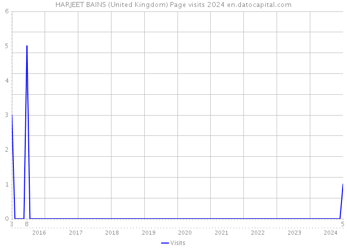 HARJEET BAINS (United Kingdom) Page visits 2024 