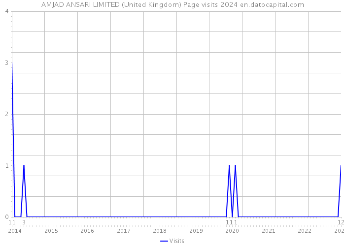 AMJAD ANSARI LIMITED (United Kingdom) Page visits 2024 