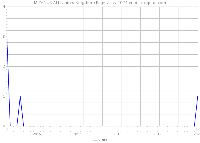 MIZANUR ALI (United Kingdom) Page visits 2024 