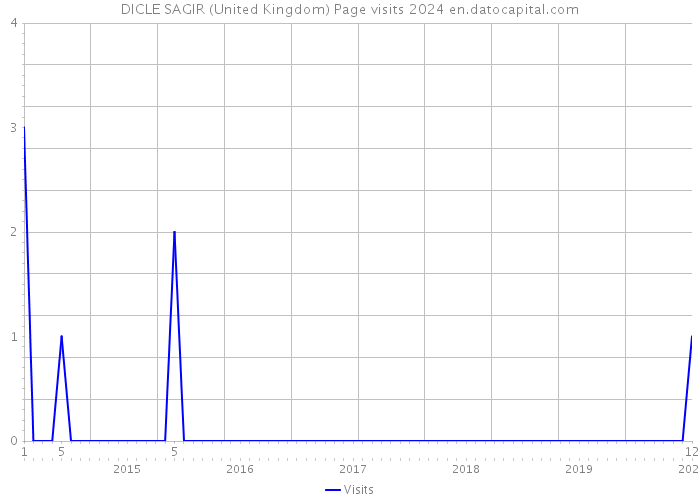 DICLE SAGIR (United Kingdom) Page visits 2024 