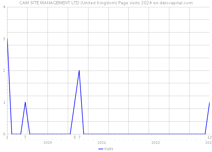 CAM SITE MANAGEMENT LTD (United Kingdom) Page visits 2024 