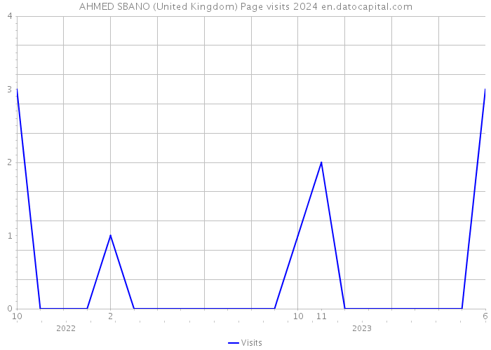 AHMED SBANO (United Kingdom) Page visits 2024 