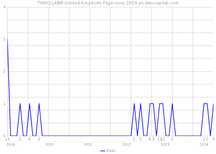 TARIQ LABIB (United Kingdom) Page visits 2024 