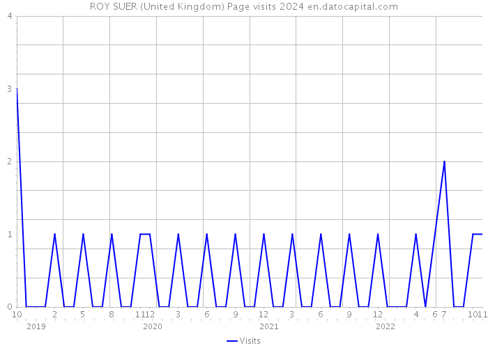 ROY SUER (United Kingdom) Page visits 2024 