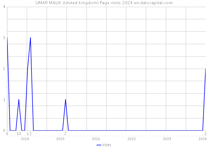 UMAR MALIK (United Kingdom) Page visits 2024 