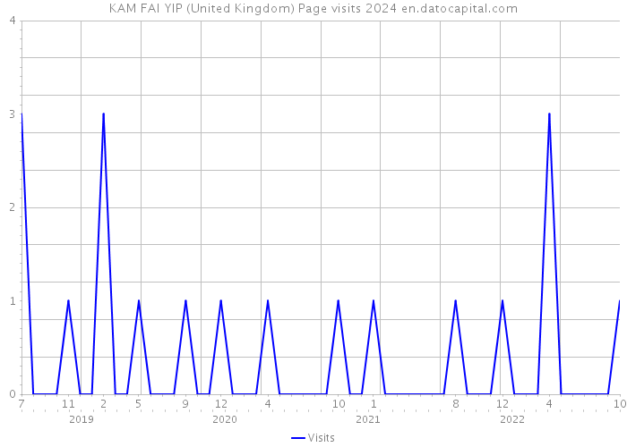 KAM FAI YIP (United Kingdom) Page visits 2024 
