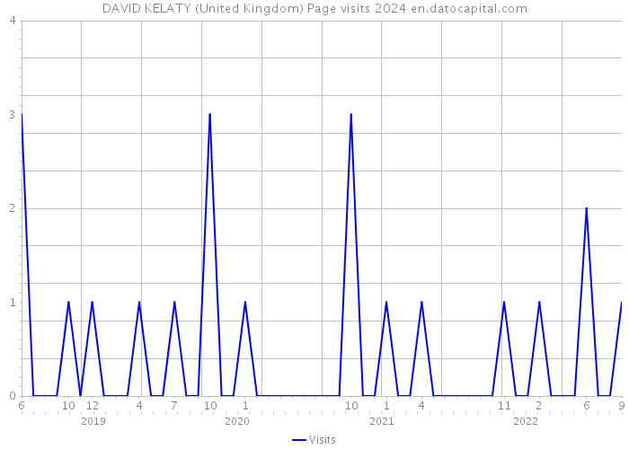 DAVID KELATY (United Kingdom) Page visits 2024 