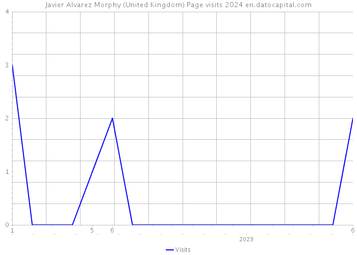 Javier Alvarez Morphy (United Kingdom) Page visits 2024 