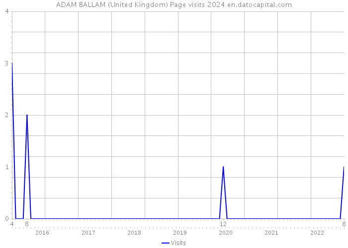 ADAM BALLAM (United Kingdom) Page visits 2024 