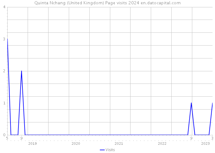 Quinta Nchang (United Kingdom) Page visits 2024 