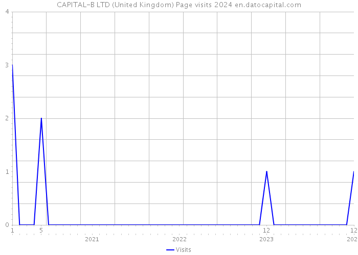 CAPITAL-B LTD (United Kingdom) Page visits 2024 