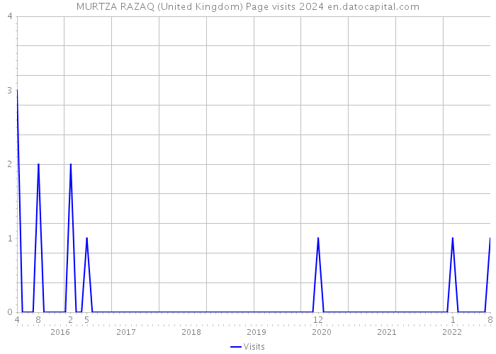 MURTZA RAZAQ (United Kingdom) Page visits 2024 