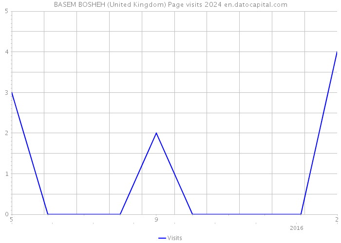 BASEM BOSHEH (United Kingdom) Page visits 2024 