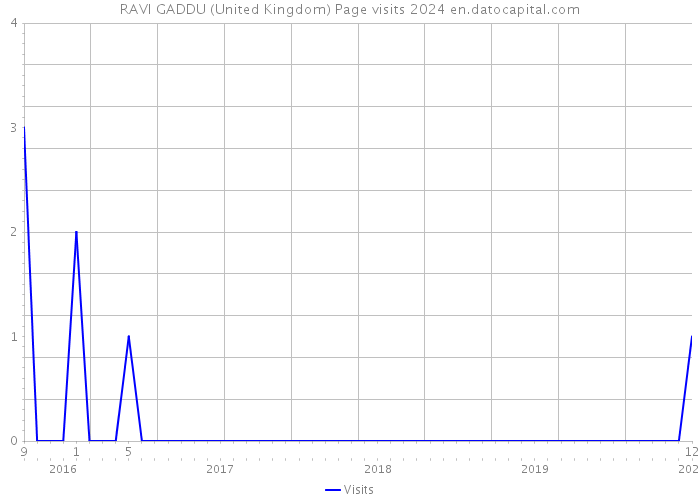 RAVI GADDU (United Kingdom) Page visits 2024 