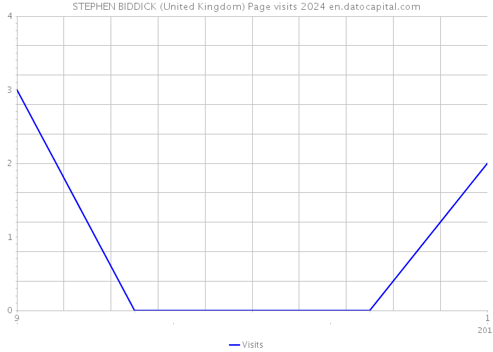 STEPHEN BIDDICK (United Kingdom) Page visits 2024 