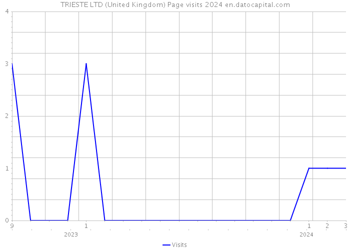 TRIESTE LTD (United Kingdom) Page visits 2024 