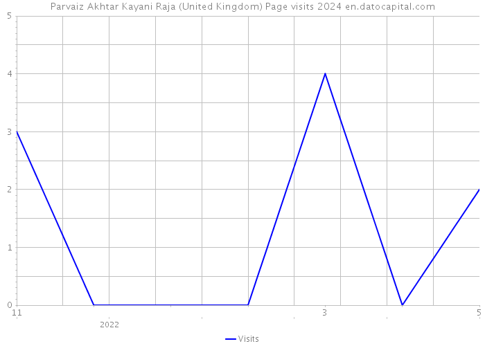 Parvaiz Akhtar Kayani Raja (United Kingdom) Page visits 2024 