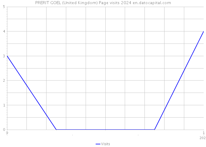 PRERIT GOEL (United Kingdom) Page visits 2024 