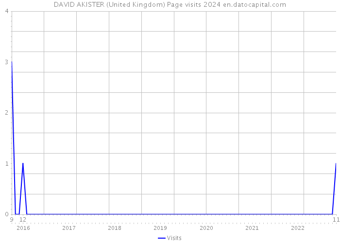 DAVID AKISTER (United Kingdom) Page visits 2024 