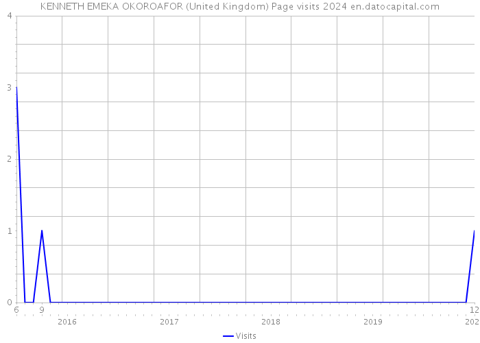 KENNETH EMEKA OKOROAFOR (United Kingdom) Page visits 2024 
