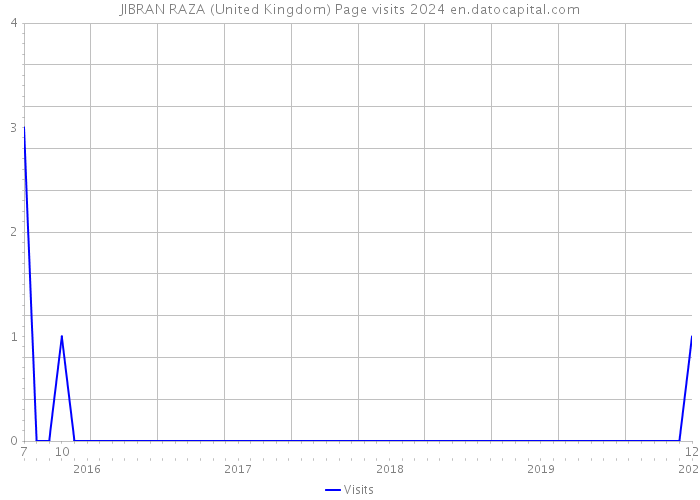 JIBRAN RAZA (United Kingdom) Page visits 2024 