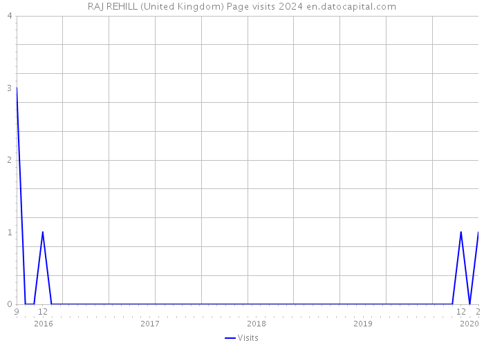 RAJ REHILL (United Kingdom) Page visits 2024 