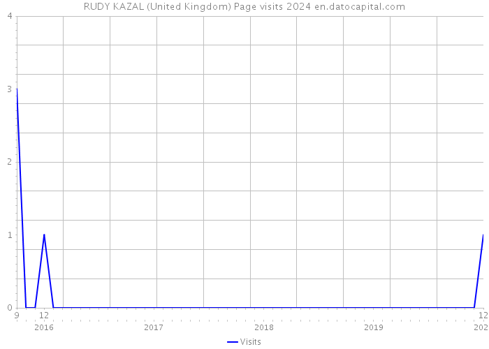 RUDY KAZAL (United Kingdom) Page visits 2024 
