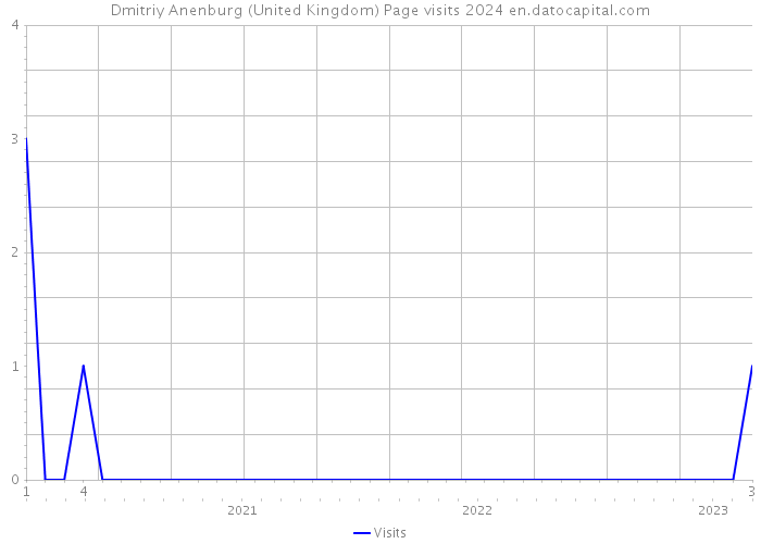 Dmitriy Anenburg (United Kingdom) Page visits 2024 