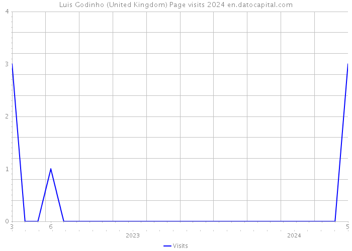 Luis Godinho (United Kingdom) Page visits 2024 