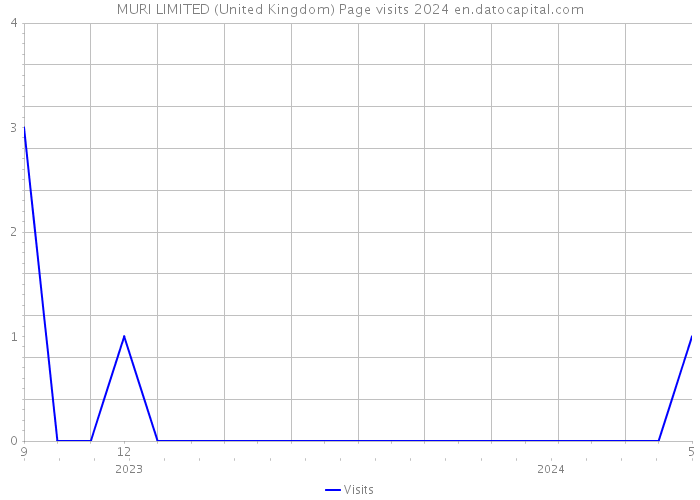 MURI LIMITED (United Kingdom) Page visits 2024 