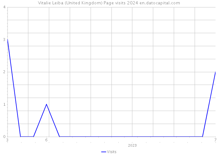 Vitalie Leiba (United Kingdom) Page visits 2024 