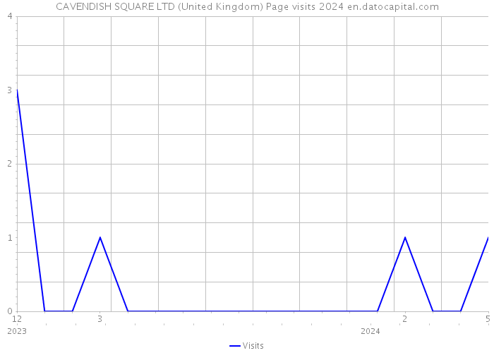 CAVENDISH SQUARE LTD (United Kingdom) Page visits 2024 