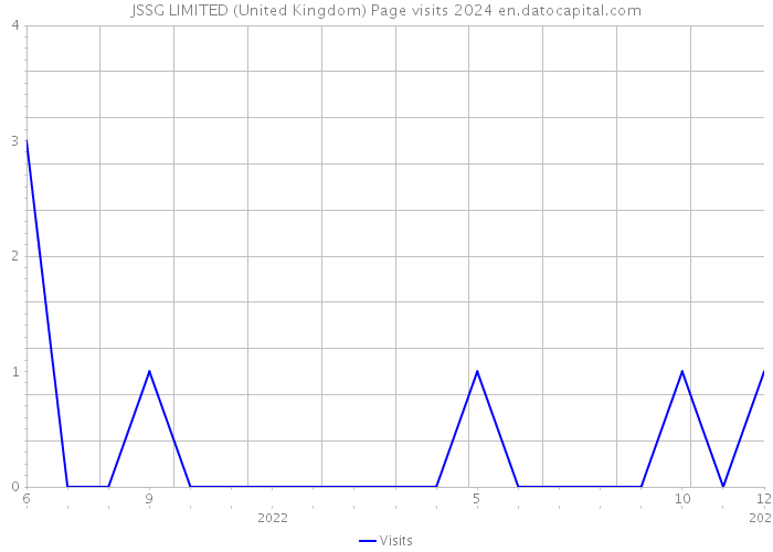 JSSG LIMITED (United Kingdom) Page visits 2024 