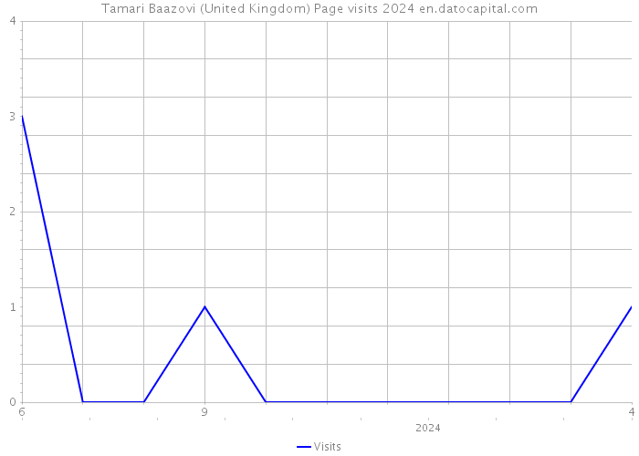 Tamari Baazovi (United Kingdom) Page visits 2024 