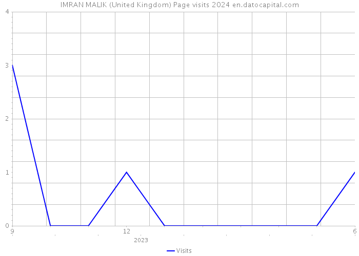 IMRAN MALIK (United Kingdom) Page visits 2024 